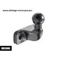 ATTELAGE PLATINE BRINK